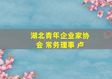 湖北青年企业家协会 常务理事 卢